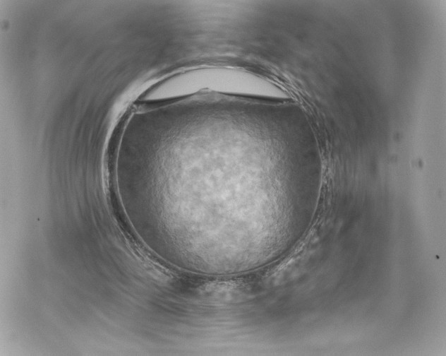 X0000075830294200609291429