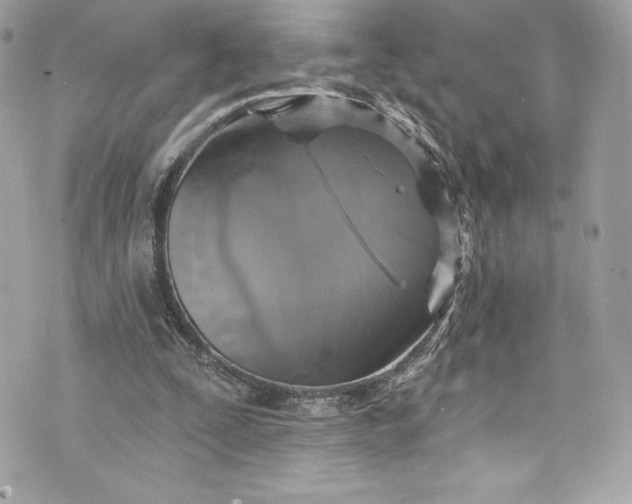 X0000075830295200609291429