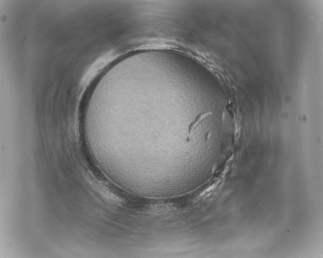 X0000075830296200609291429