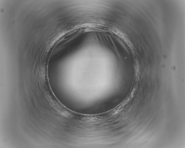 X0000075830297200609291429