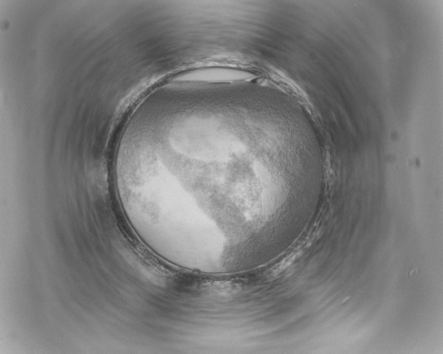 X0000075830298200609291429