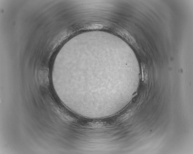 X0000075830300200609291429