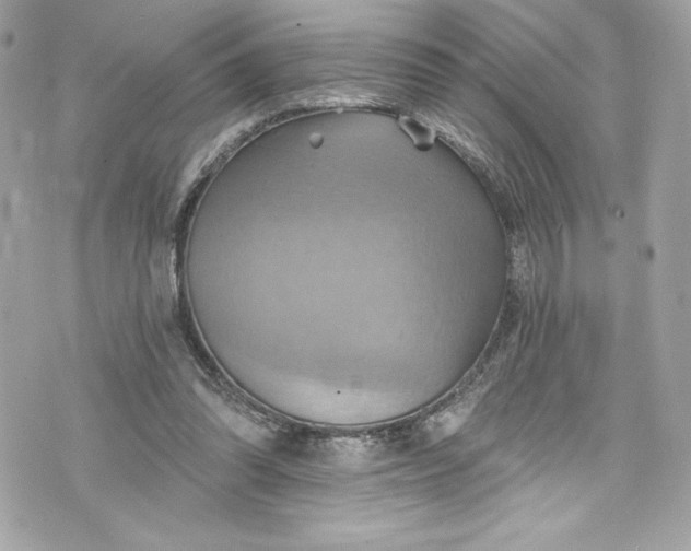 X0000075830302200609291429