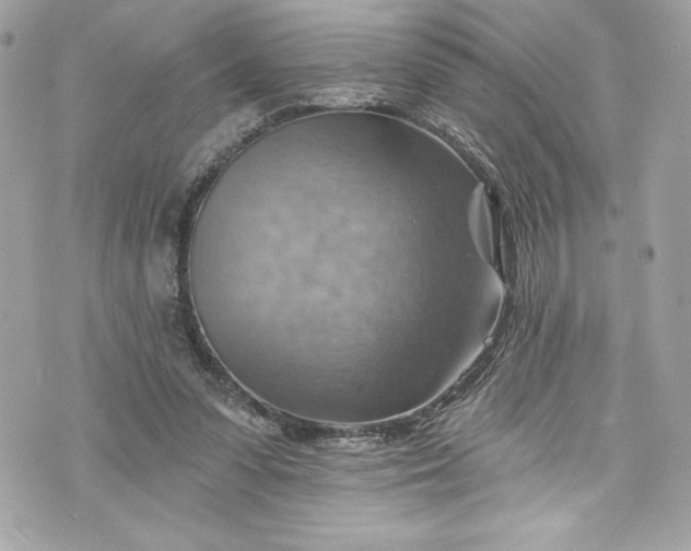 X0000075830303200609291429