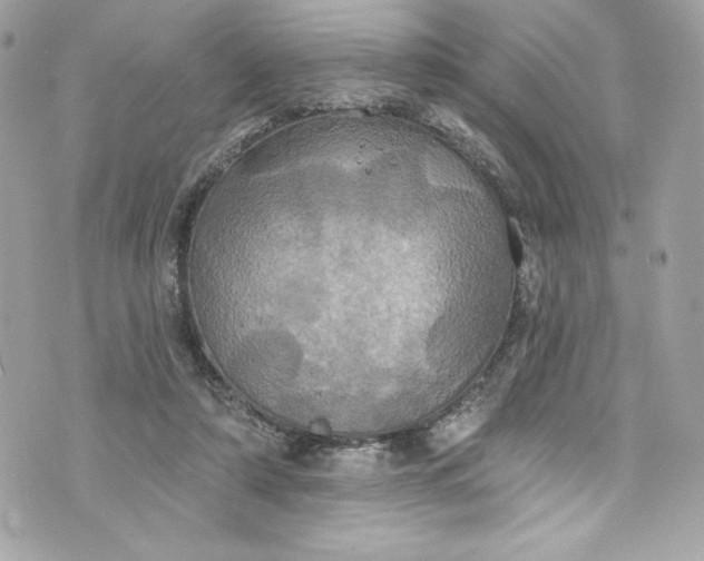 X0000075830306200609291429