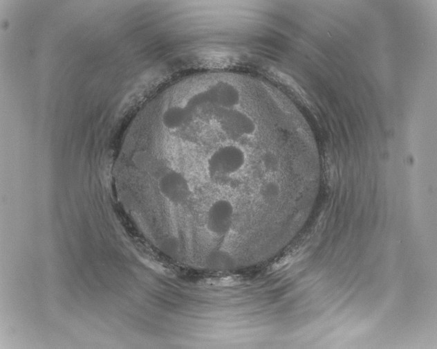 X0000075830307200609291428