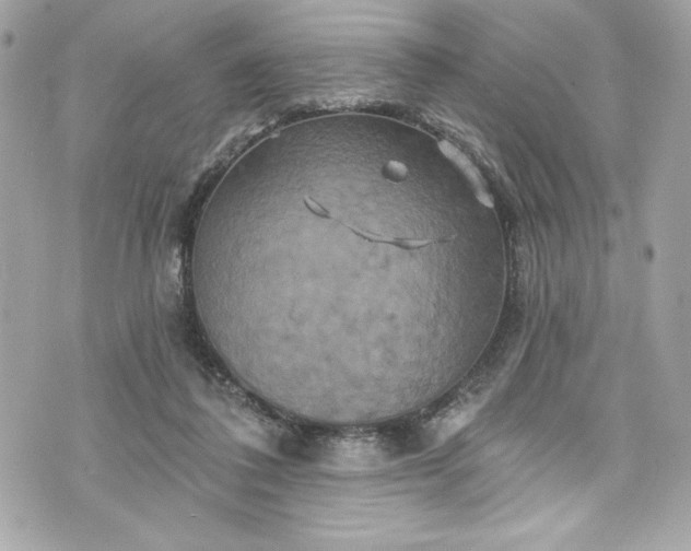 X0000075830308200609291428