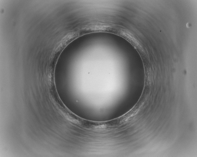 X0000075830309200609291428