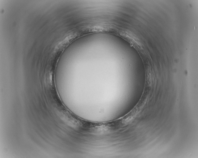 X0000075830310200609291428