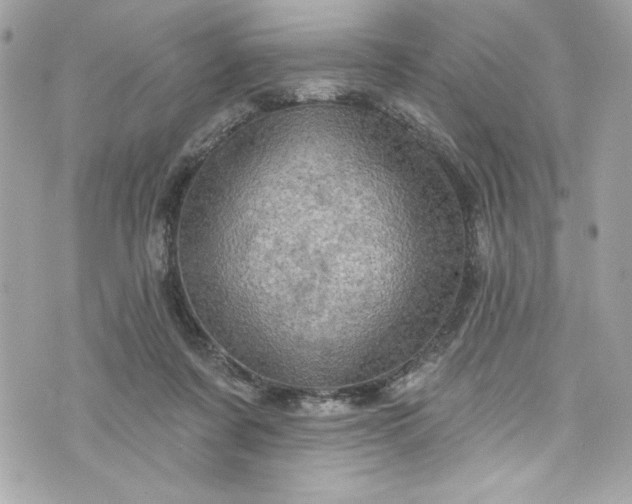 X0000075830311200609291428