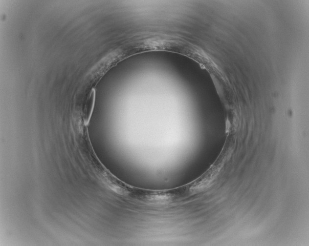 X0000075830313200609291428