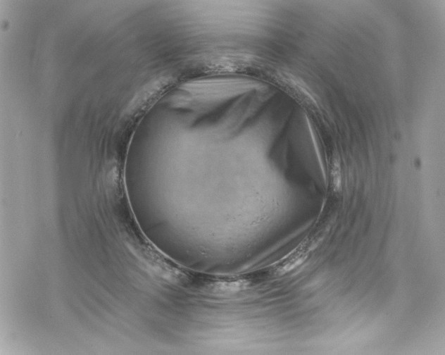 X0000075830314200609291428