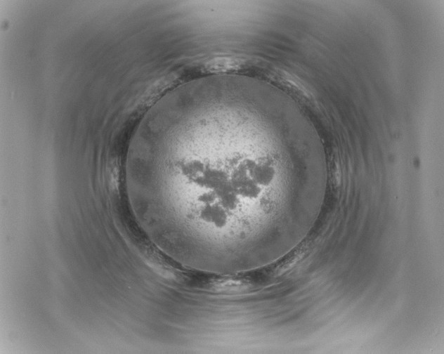 X0000075830315200609291428