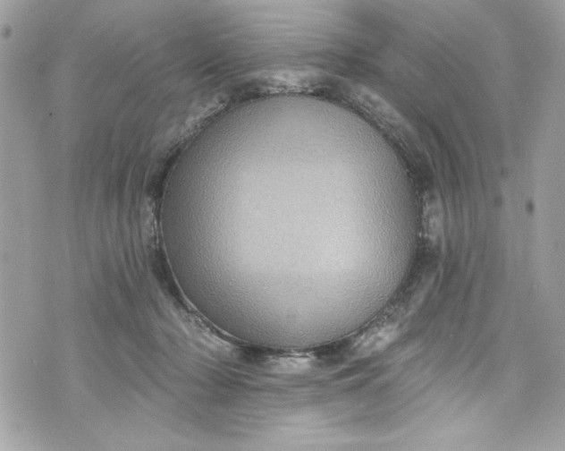 X0000075830318200609291428