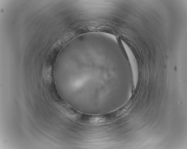 X0000075830319200609291428