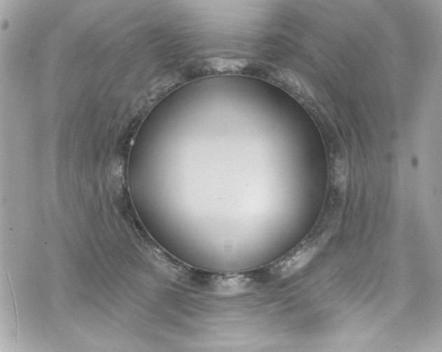 X0000075830321200609291428