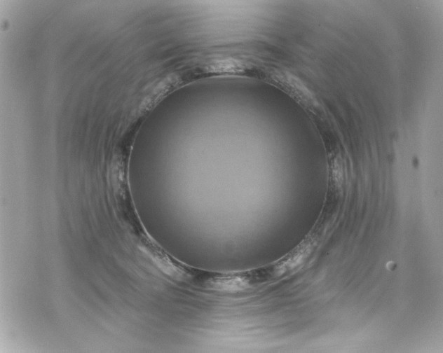 X0000075830322200609291428