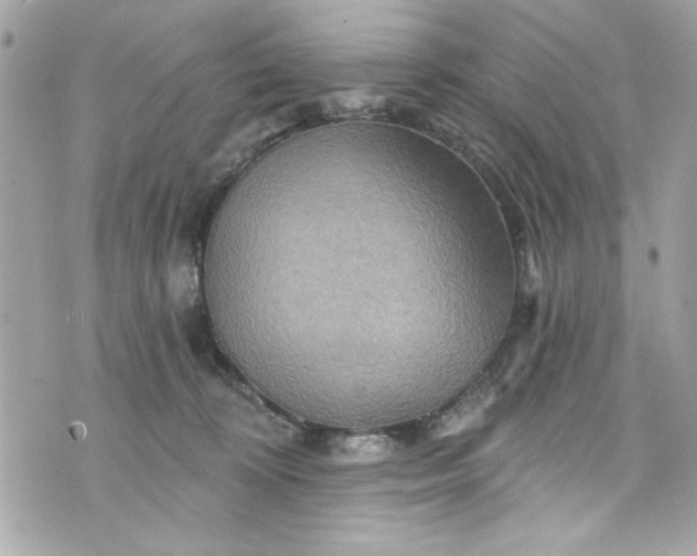 X0000075830324200609291428