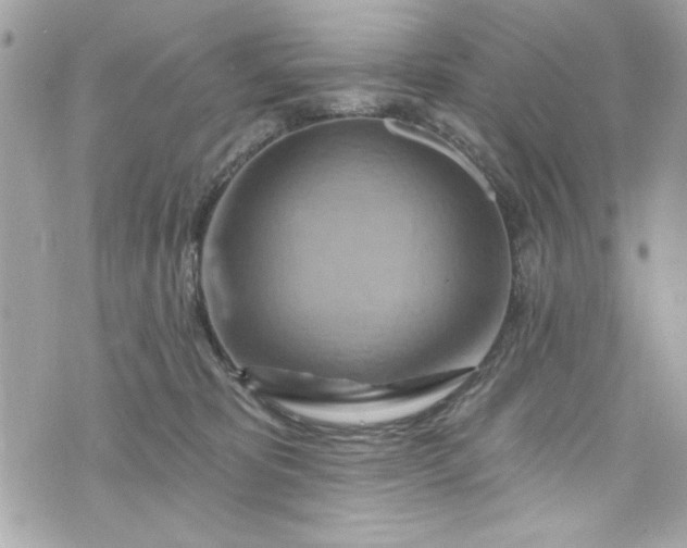 X0000075830325200609291428