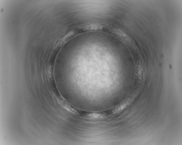 X0000075830326200609291428