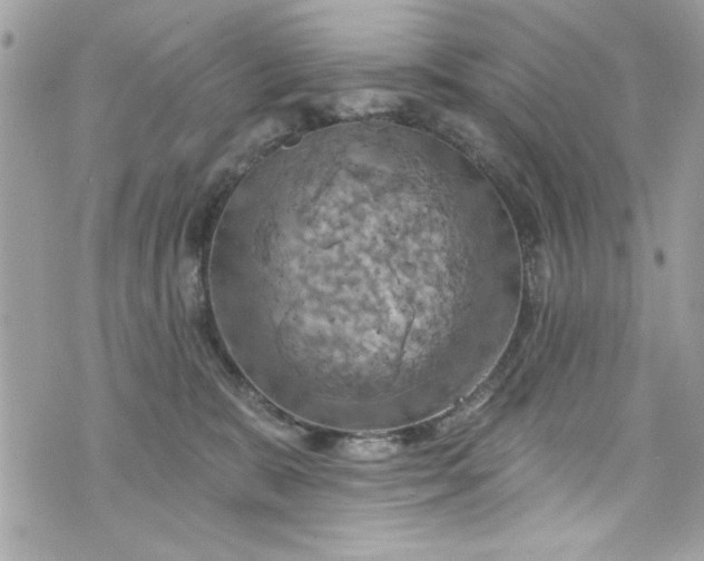 X0000075830327200609291428