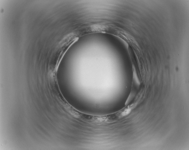 X0000075830329200609291428