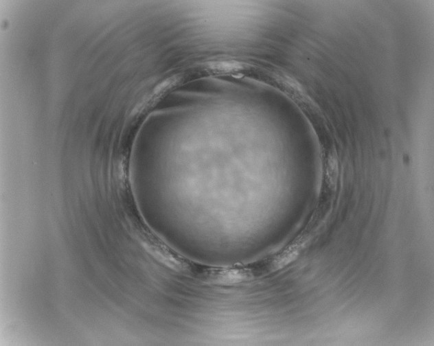 X0000075830330200609291428