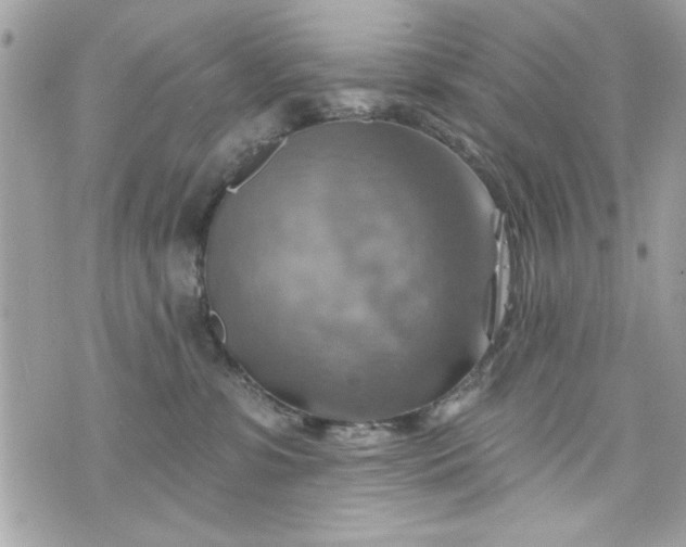 X0000075830331200609291428