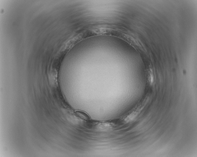 X0000075830332200609291428