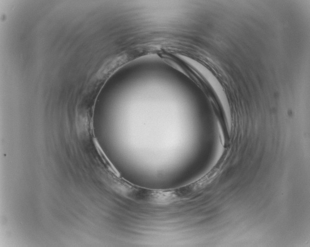 X0000075830333200609291428