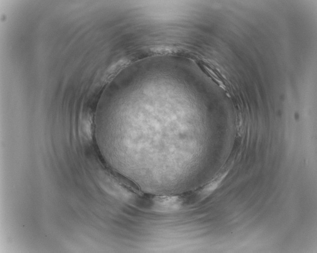 X0000075830334200609291428