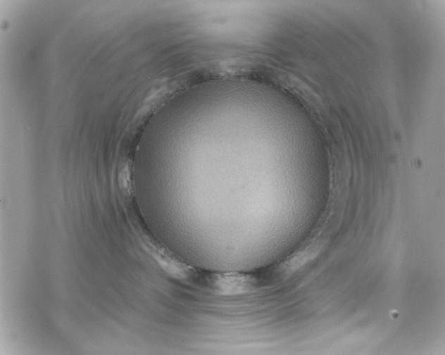 X0000075830336200609291428