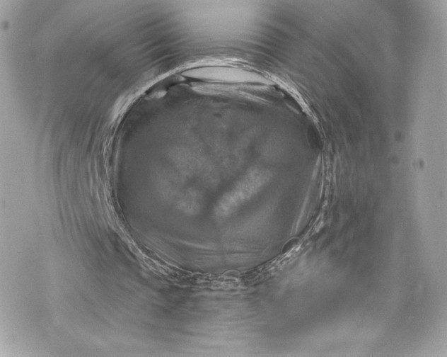 X0000075830337200609291427