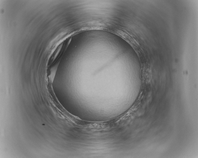 X0000075830338200609291427