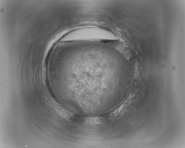 X0000075830342200609291427