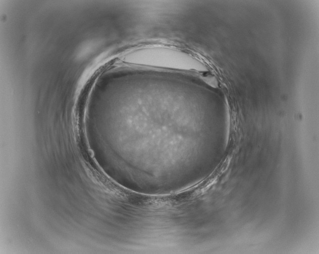 X0000075830343200609291427