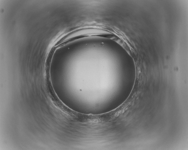 X0000075830344200609291427