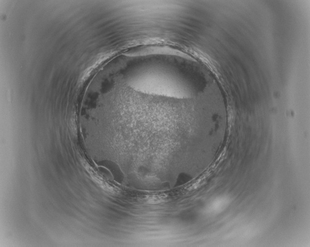 X0000075830345200609291427