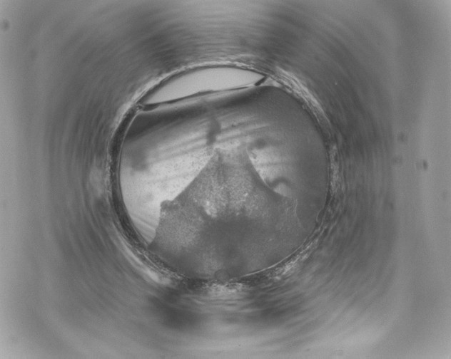 X0000075830346200609291427