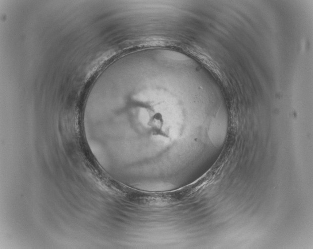 X0000075830347200609291427