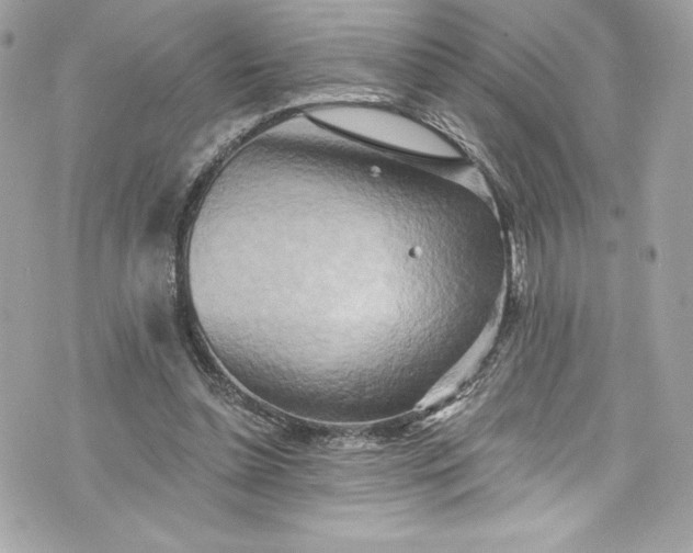 X0000075830348200609291427