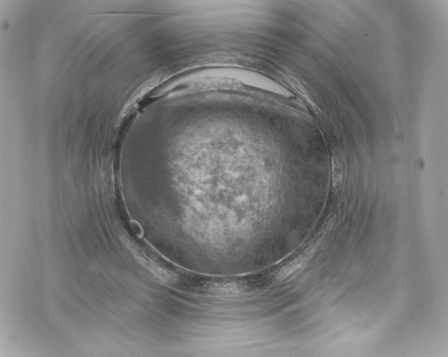 X0000075830349200609291427