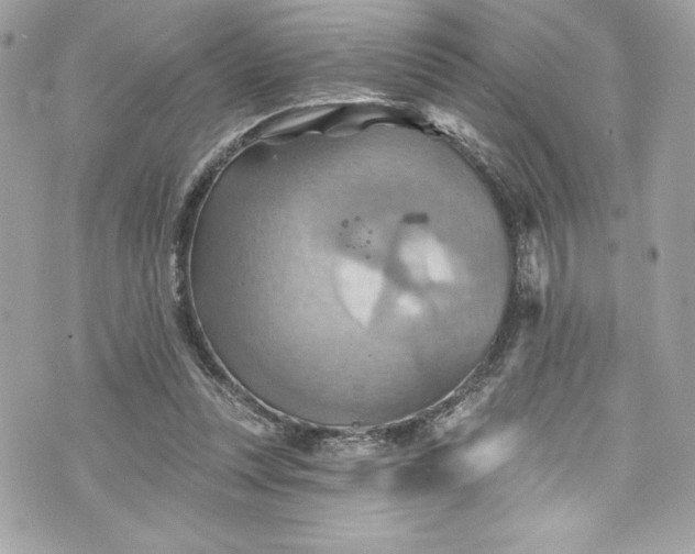 X0000075830351200609291427