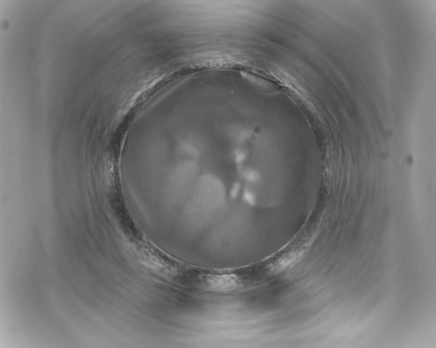 X0000075830355200609291428