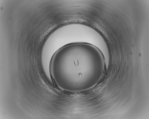 X0000075830356200609291428