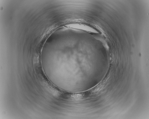 X0000075830357200609291428