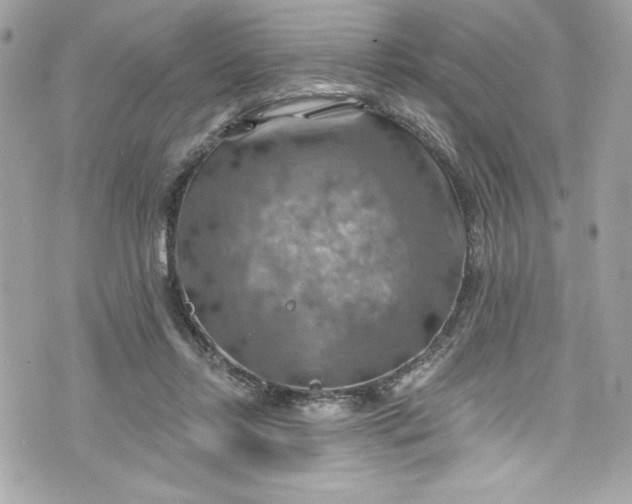 X0000075830358200609291428