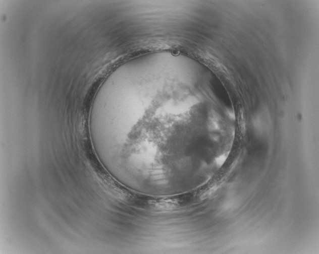 X0000075830359200609291428