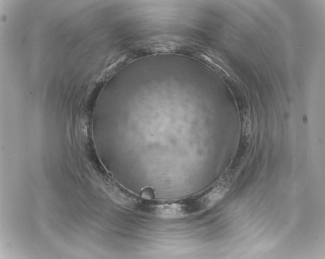 X0000075830363200609291428