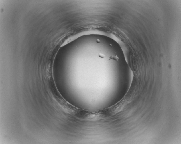 X0000075830364200609291428